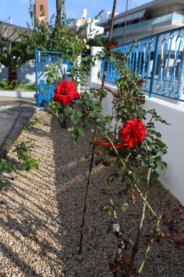 Rhodes Town Garden